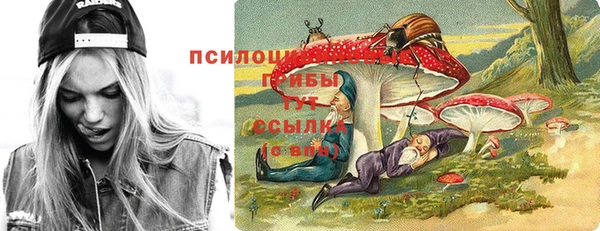 дмт Алзамай