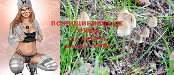 дмт Алзамай