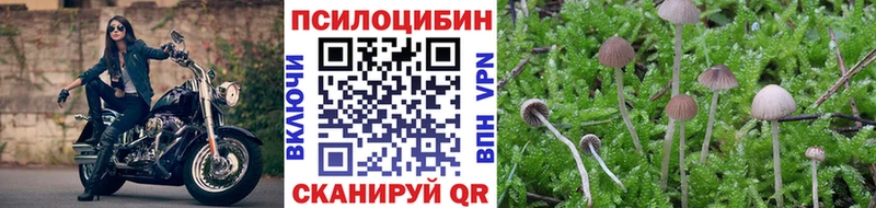 Псилоцибиновые грибы Magic Shrooms  где купить наркоту  Бронницы 